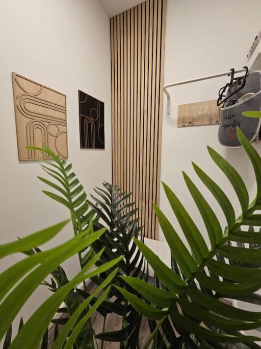 Affordable In Vienna's Hotpoint Vienne